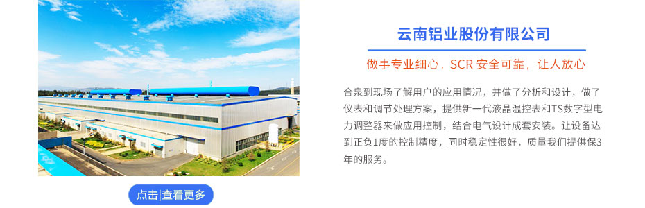 云南鋁業(yè)TS電力調(diào)整器應(yīng)用